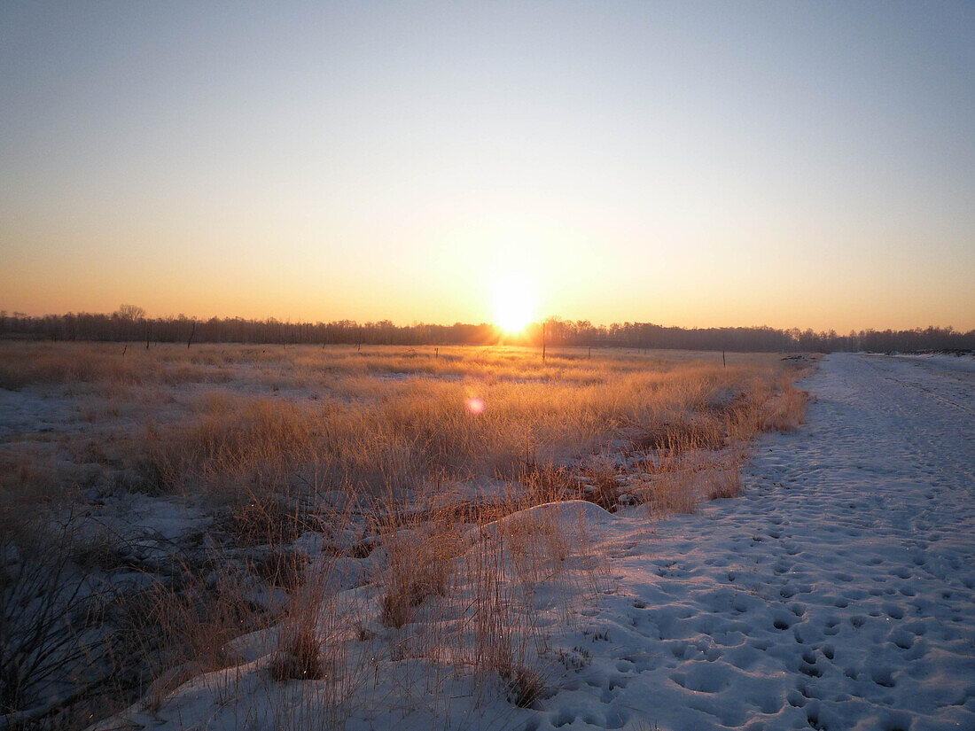 Winter landscape