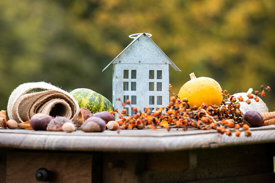 Thanksgiving - Autumn decoration