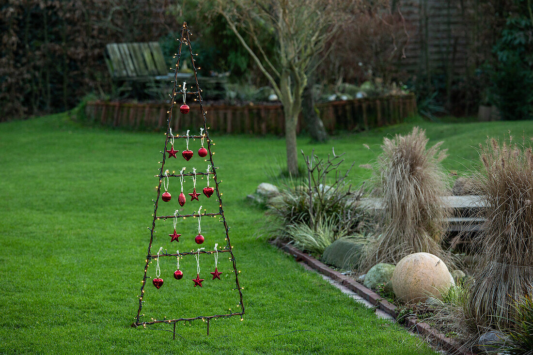Lights in the garden - Christmas decoration