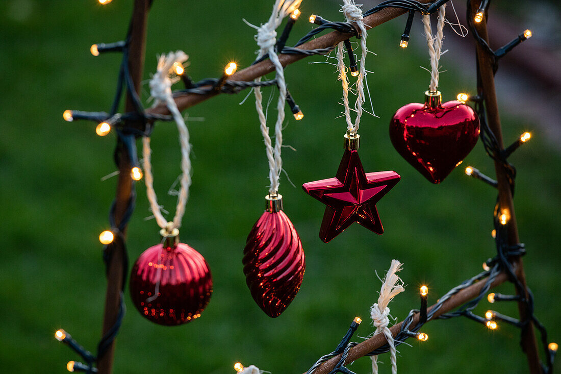 Lights in the garden - Christmas decoration