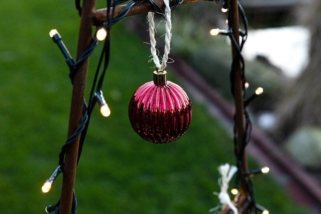 Lichter im Garten - Weihnachtsdekoration