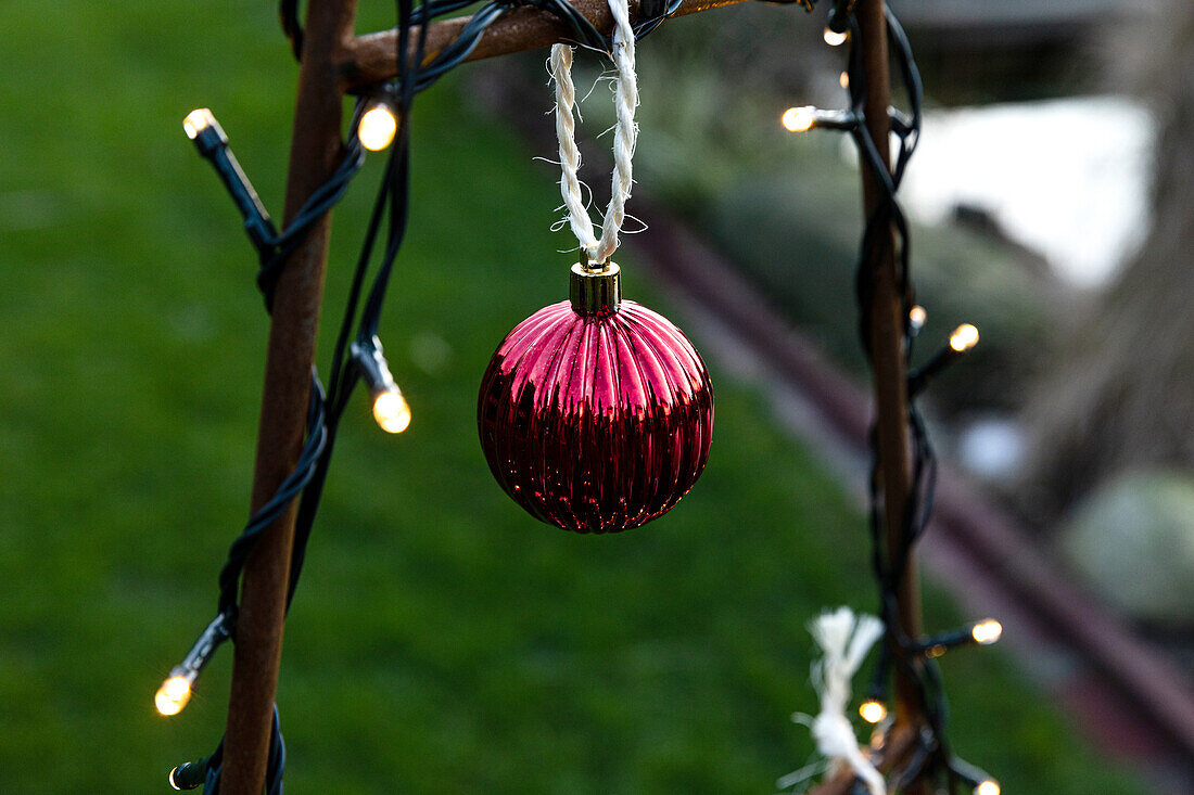 Lights in the garden - Christmas decoration