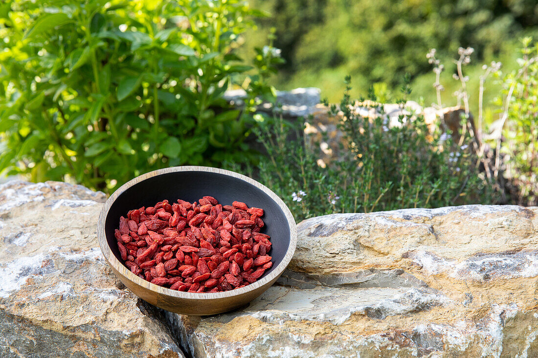 Goji-Beeren