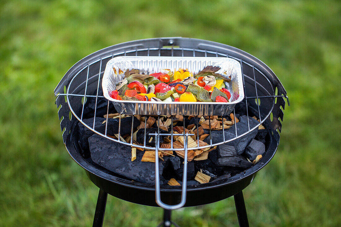 Barbecue - Barbecue with grill tray