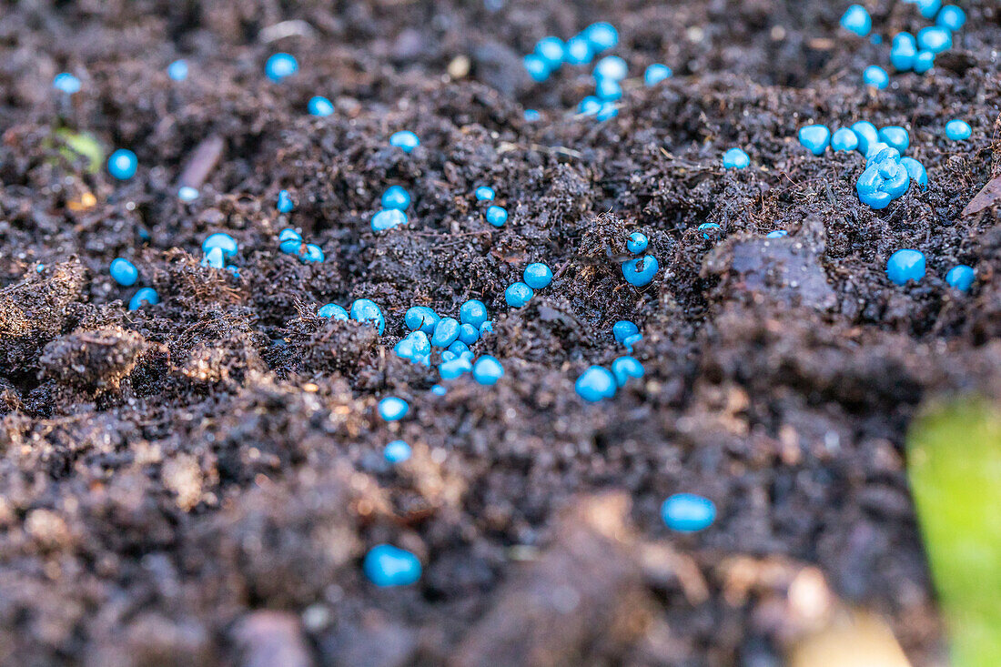 Fertiliser - blue grit