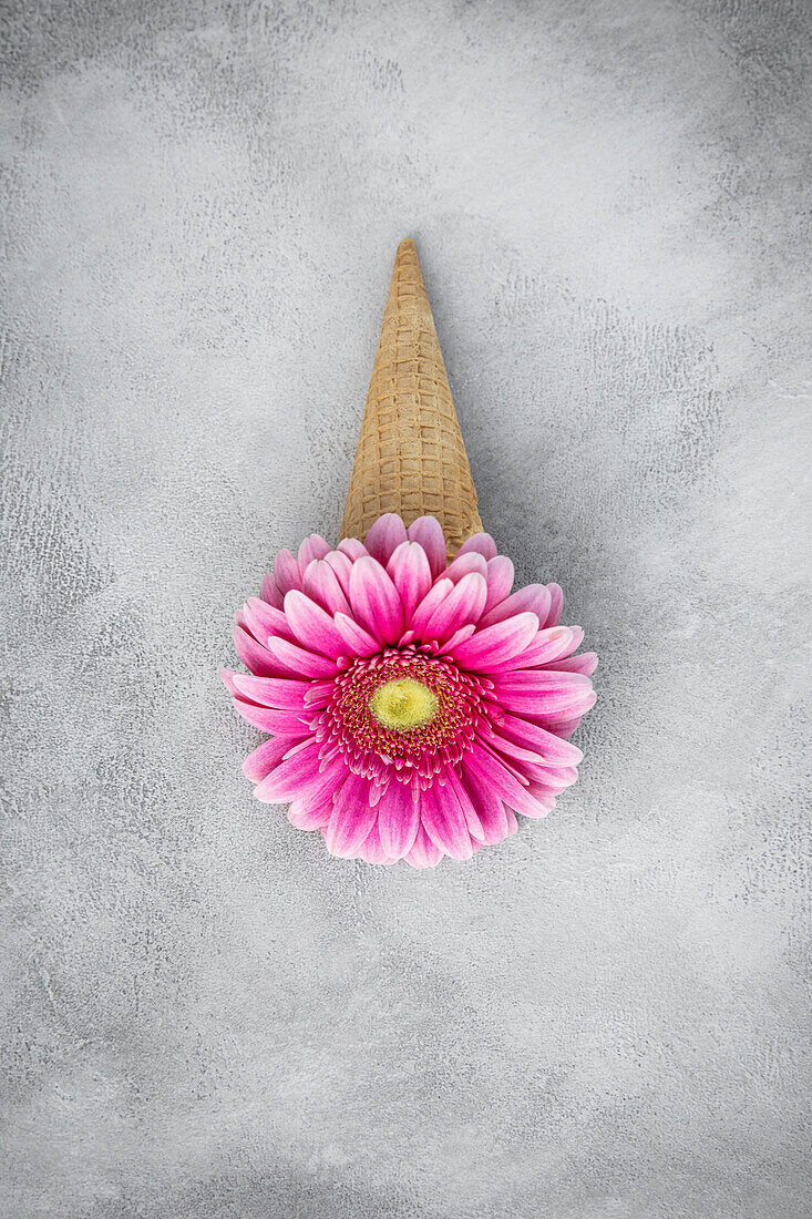 Decoration with cut flower