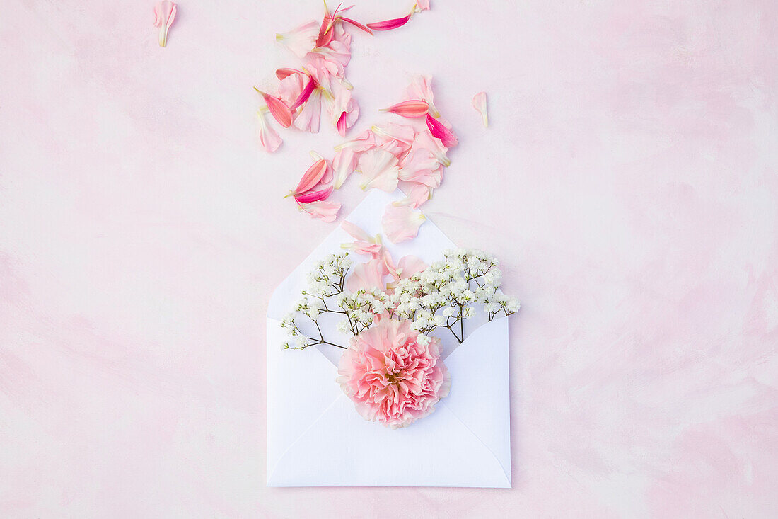 Cut flower and petals in an envelope