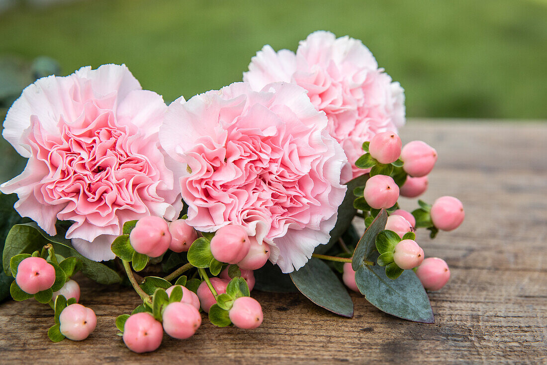 Cut flowers on wooden background