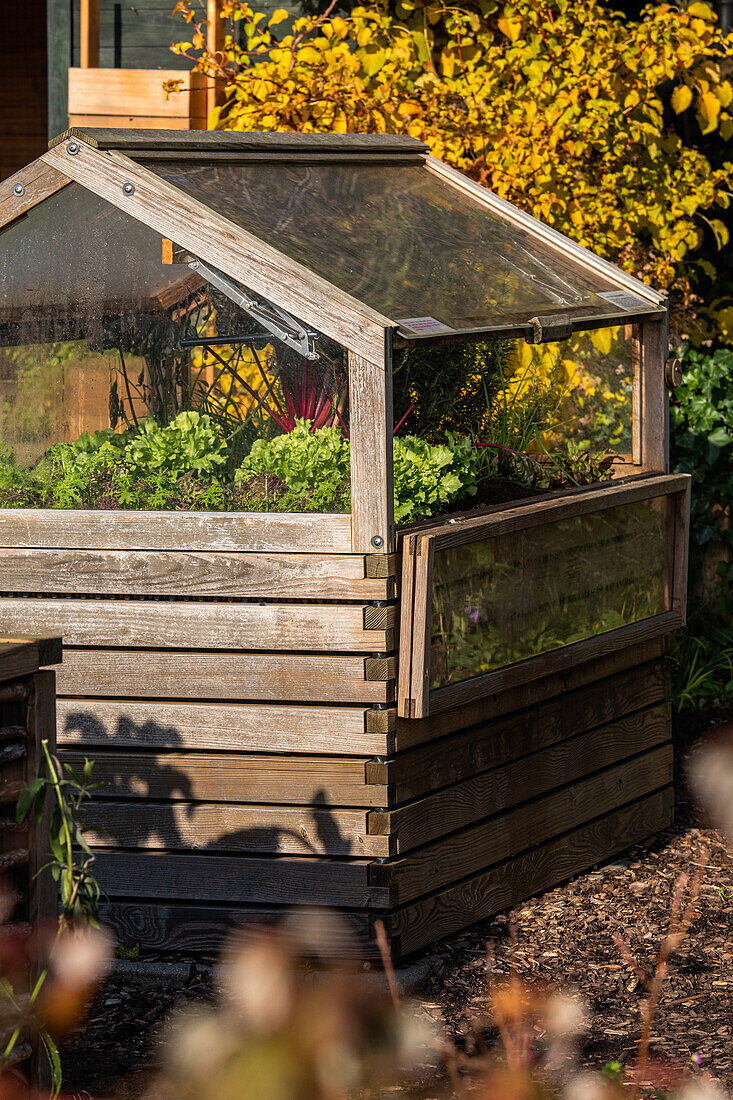 Raised bed