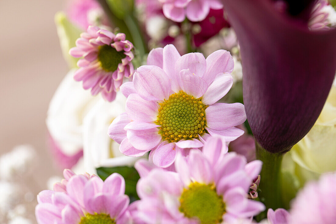 Bouquet of cut flowers