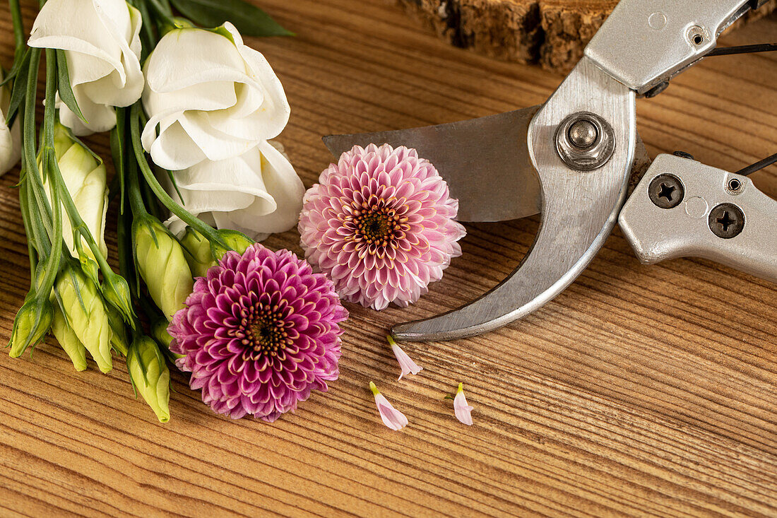 Cut flower preparation