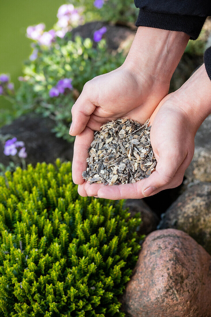 Fertiliser - Horn shavings