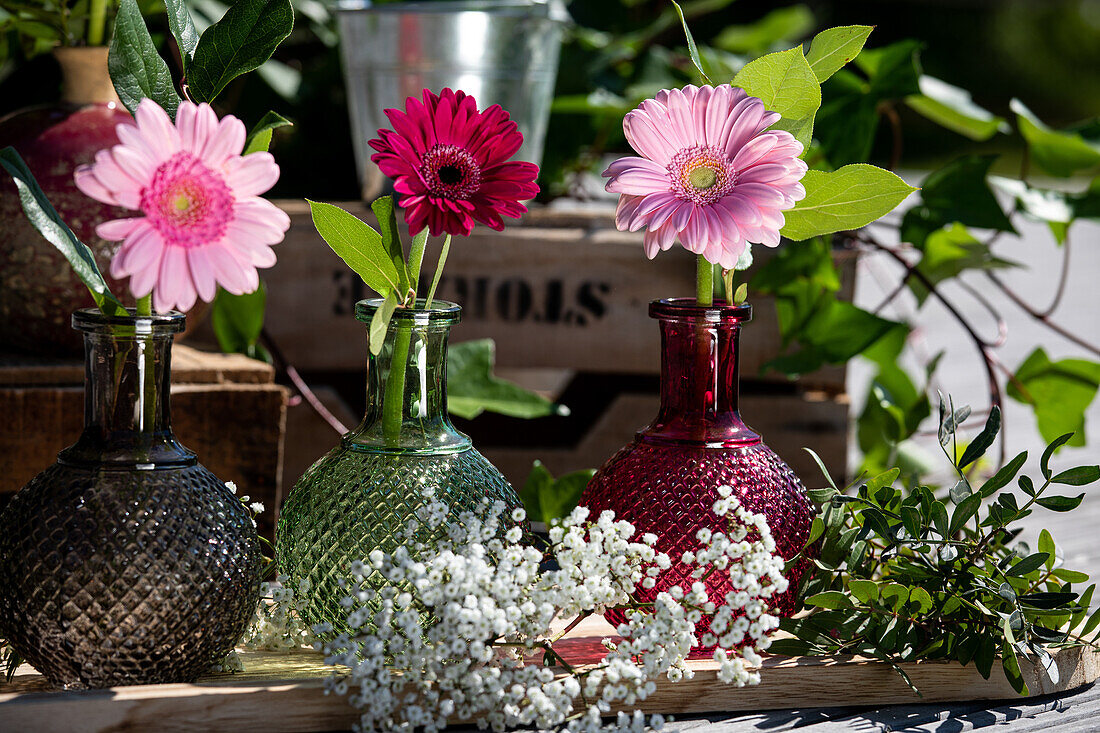 Gerberas in vases