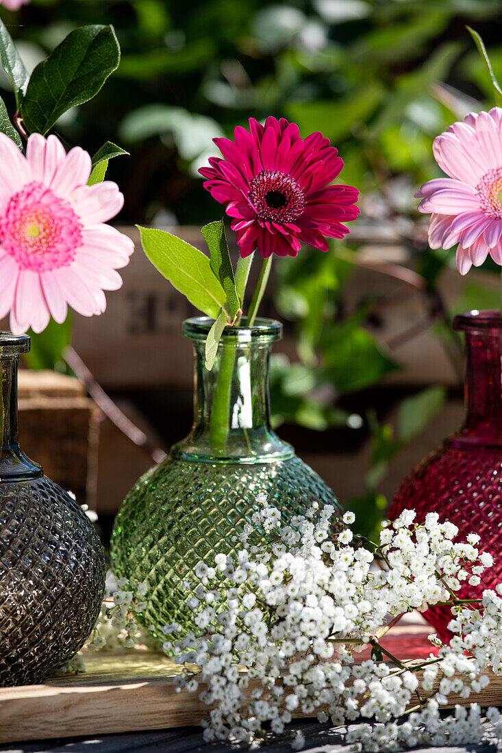 Gerbera in Vase