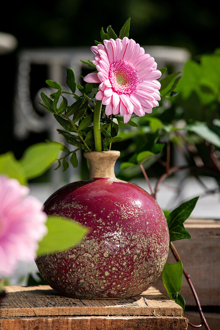 Gerbera in Vase