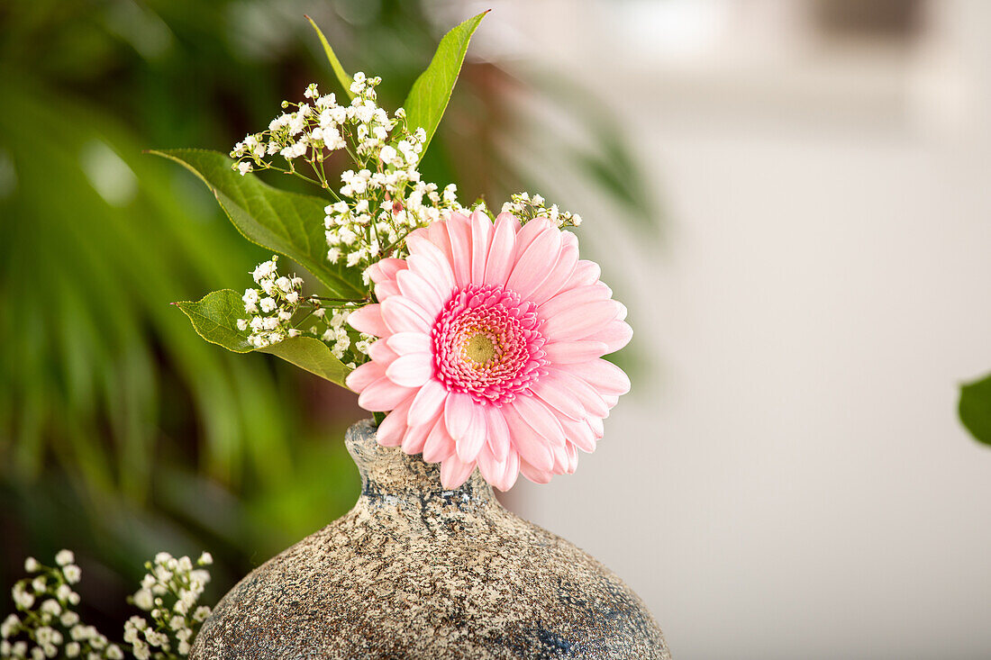 Gerbera in Vase