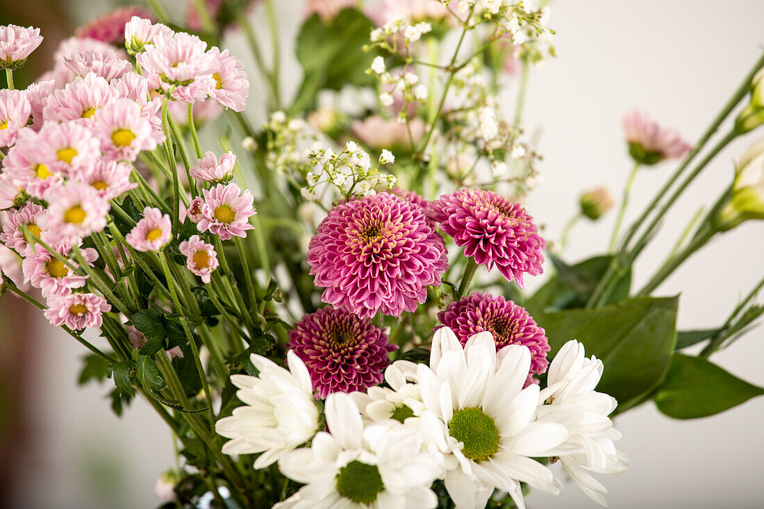 Bouquet of cut flowers