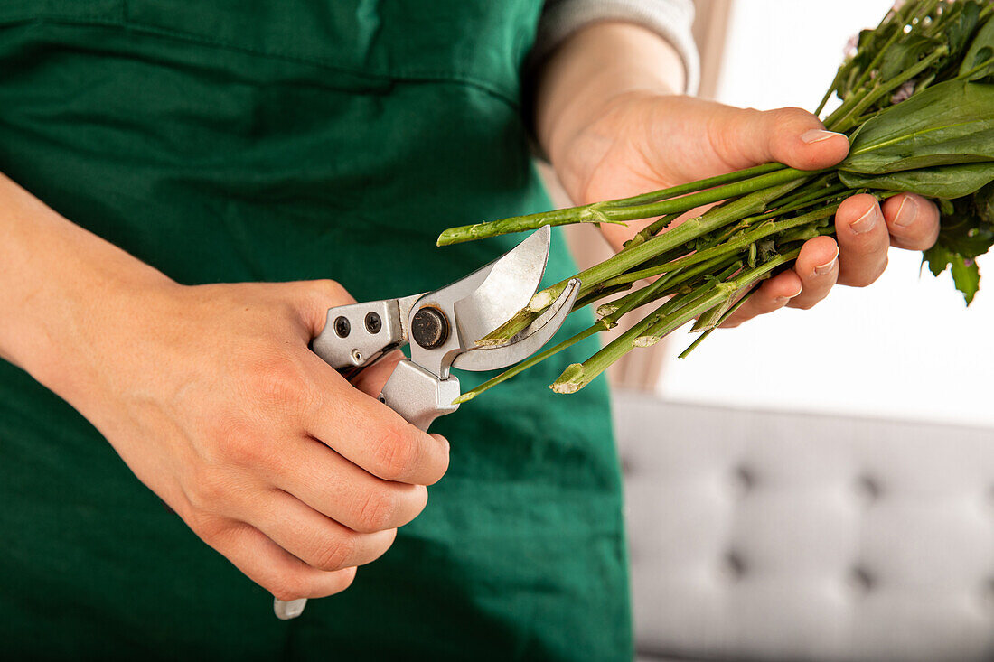 Cut cut flowers