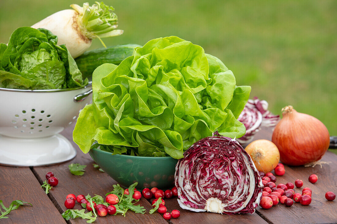 Bowl with lettuce