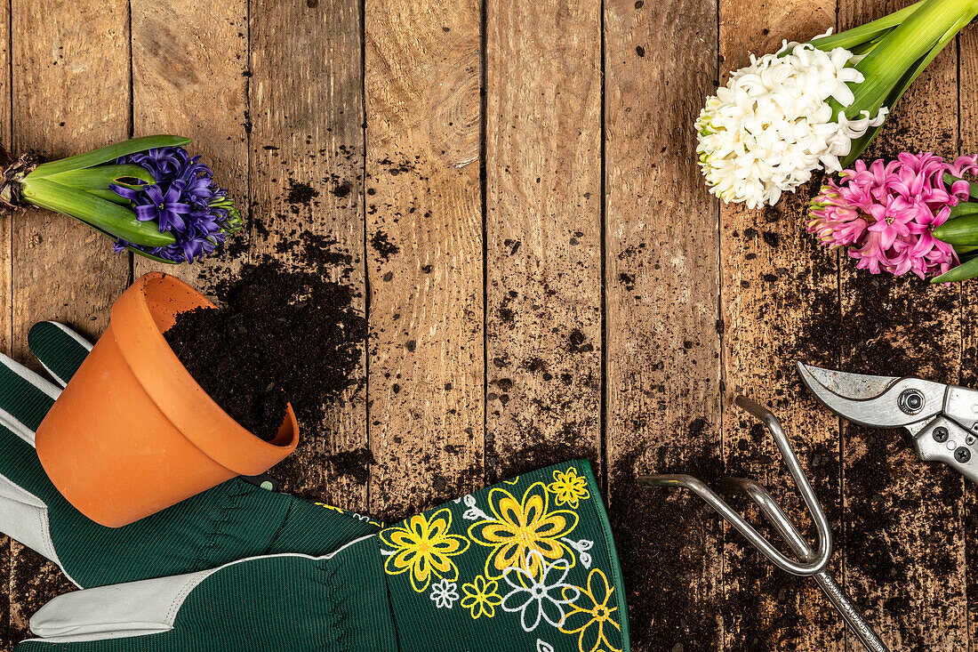 Gartenwerkzeuge, Gartenhandschuhe, Erde