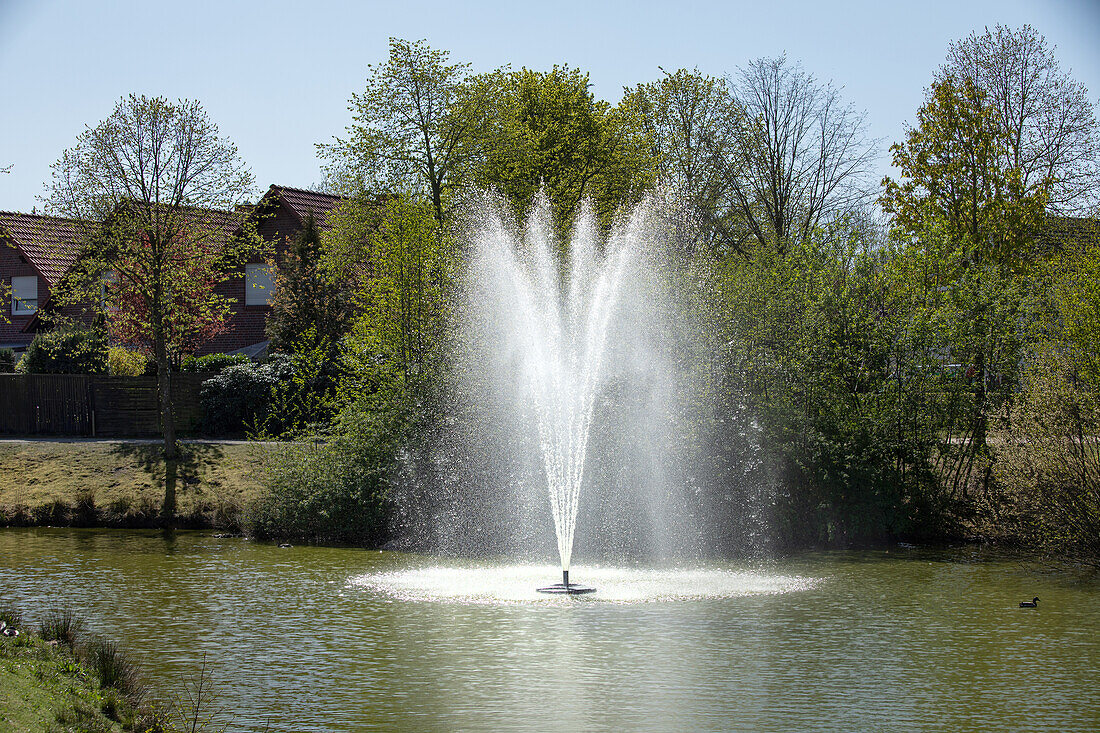 Water fountain