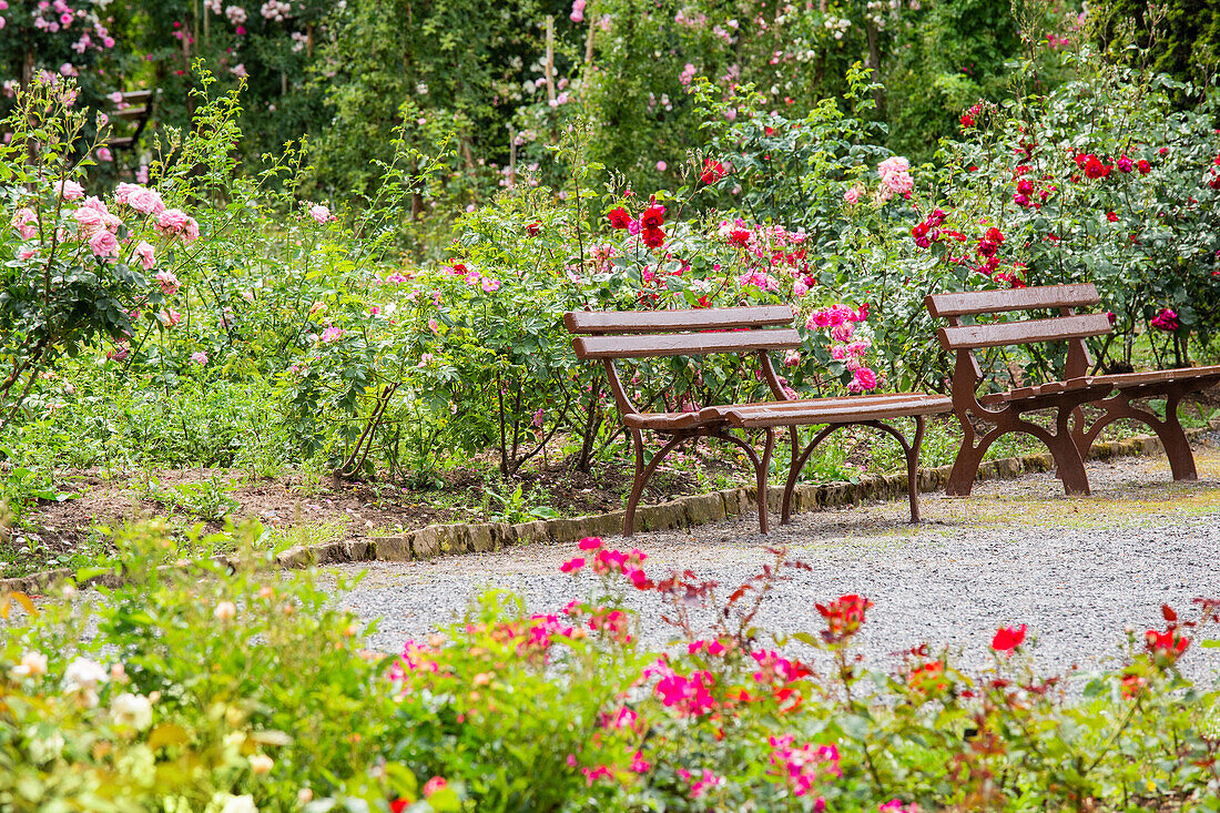 Ambiente im Rosengarten