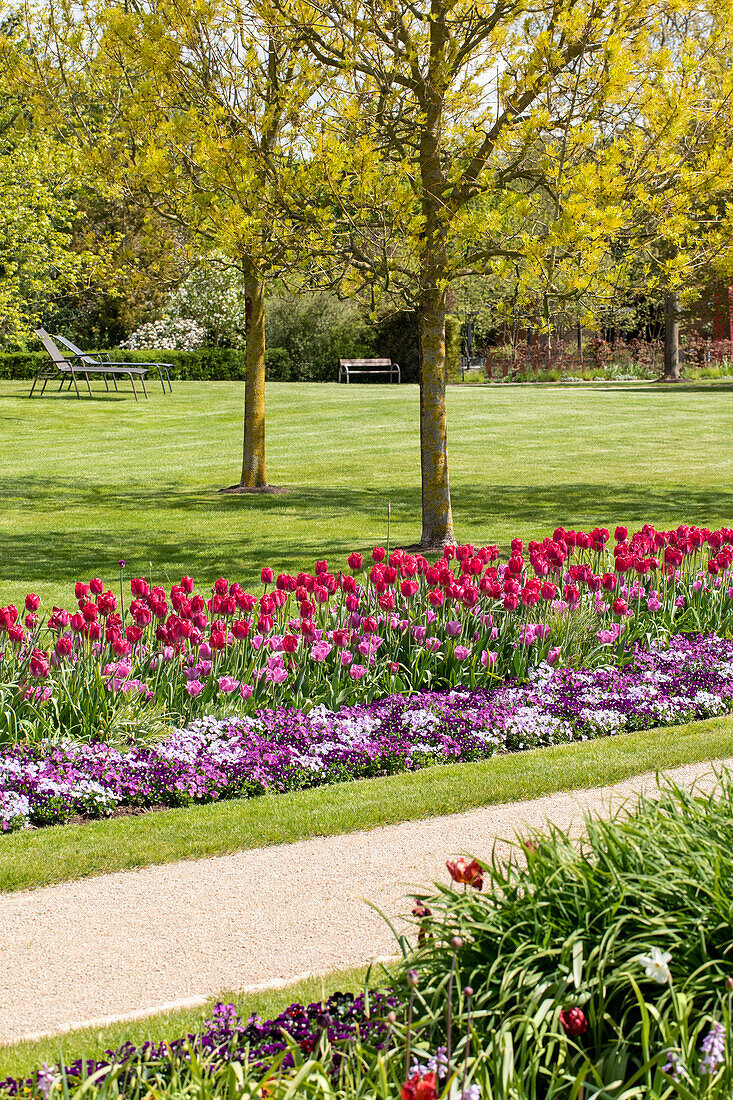 Tulips and pansies in the ambience