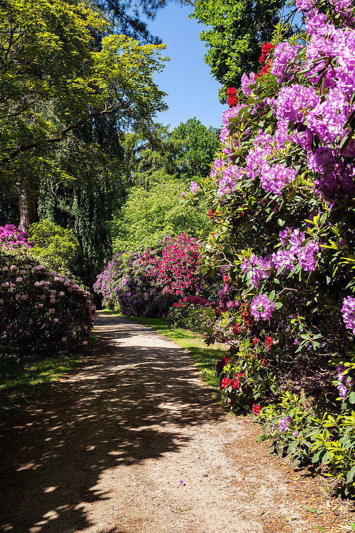 Path in the park