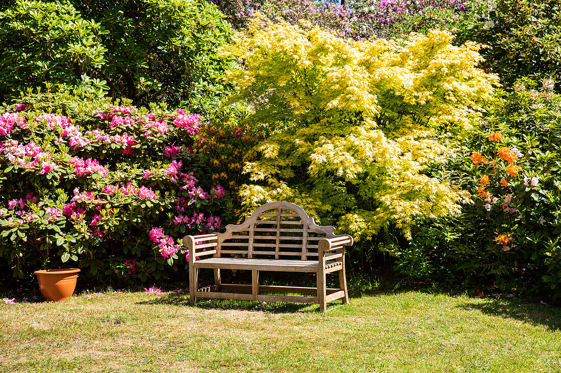 Bench in the garden