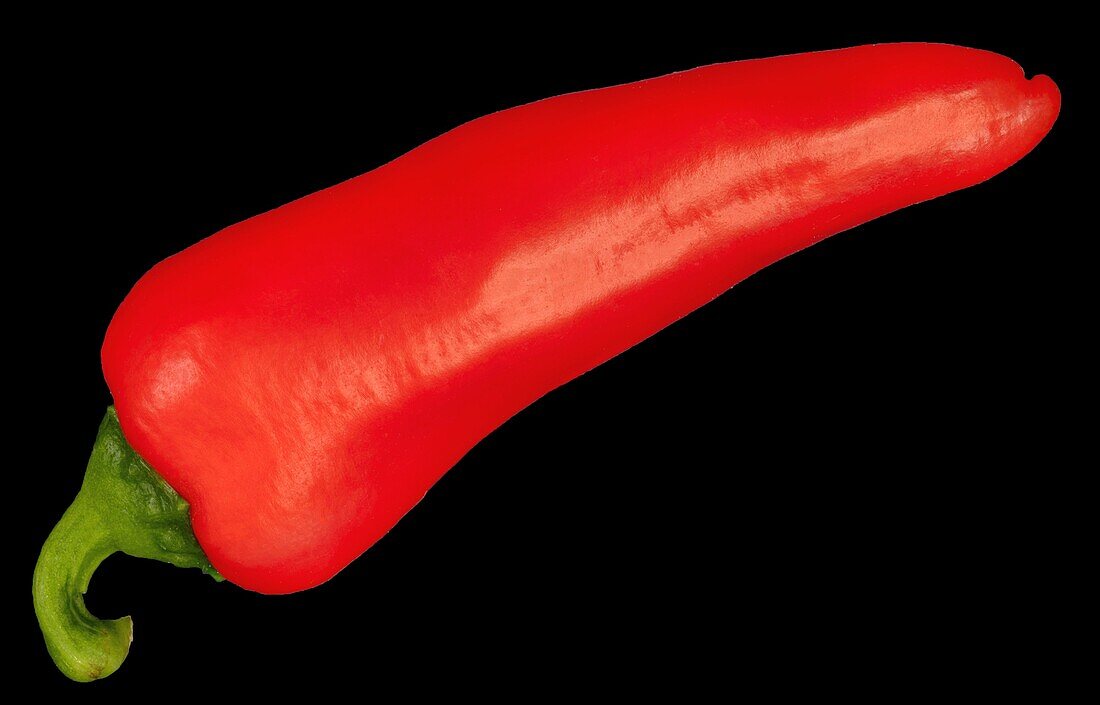 Capsicum, cropped