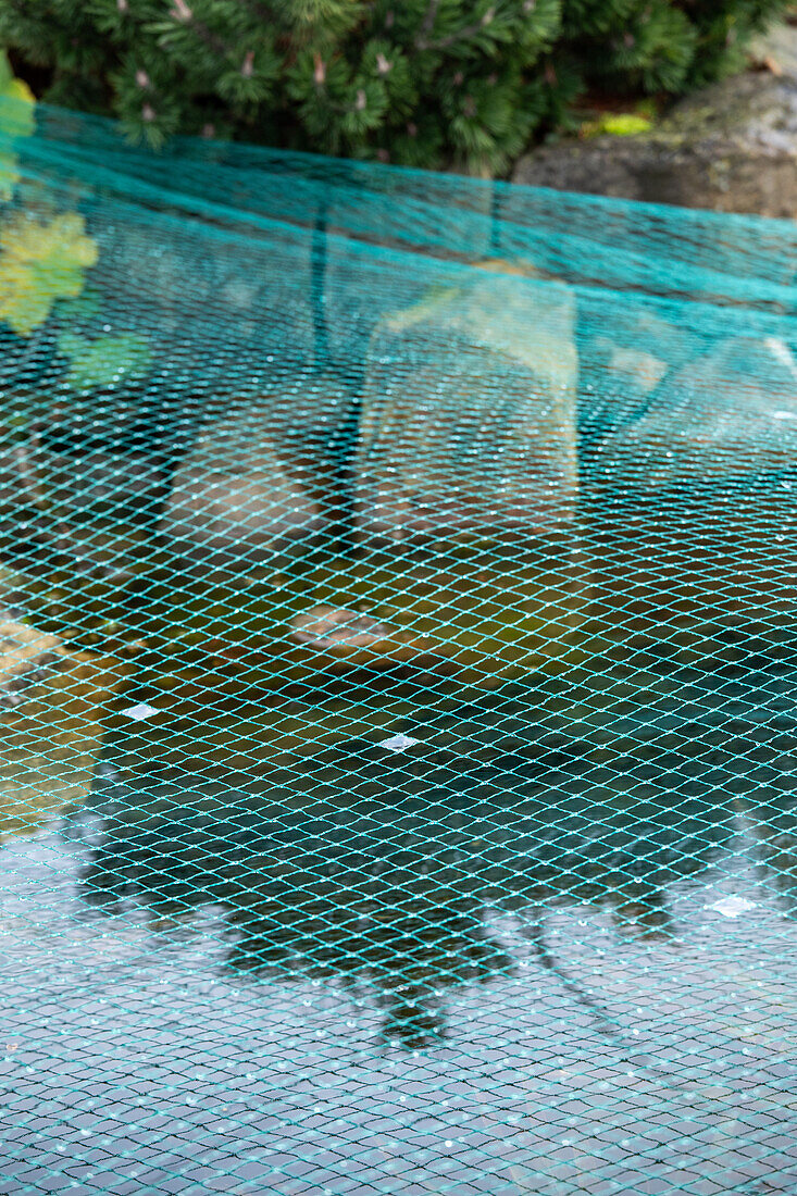 Pond net - frost protection