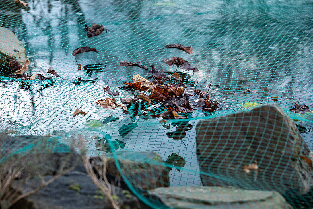 Pond net - frost protection