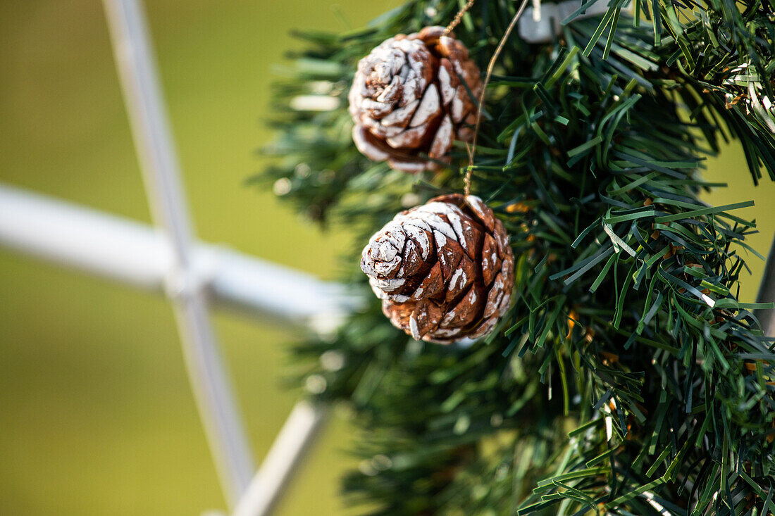 Pine cone decoration