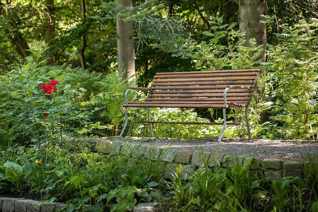 Bench in the garden ambience