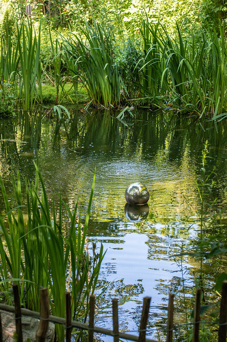 Teich im Garten