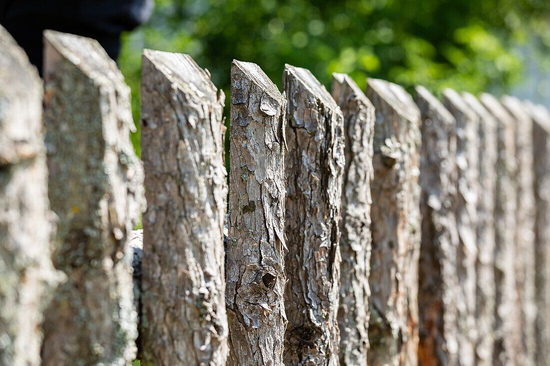 Wooden fence