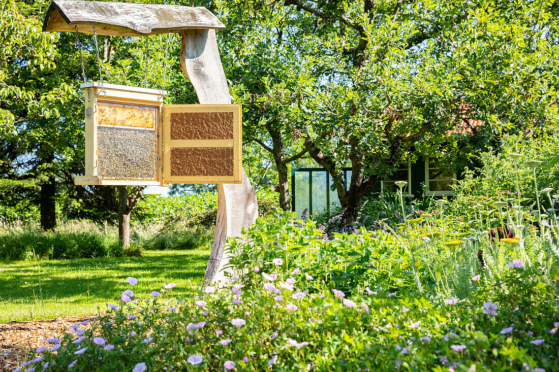 Staudenbeet mit Bienenkasten