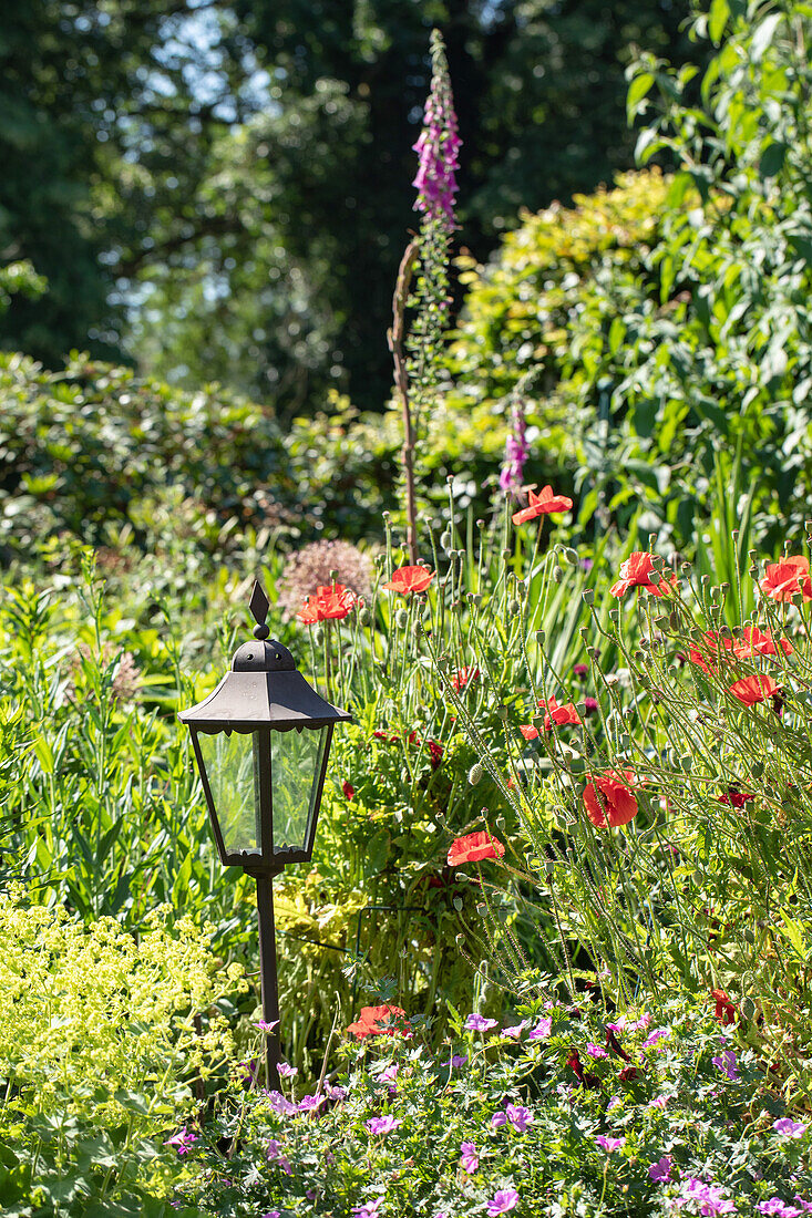 Gartenbeleuchtung im Staudenbeet