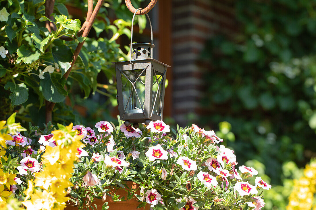 Garden lighting