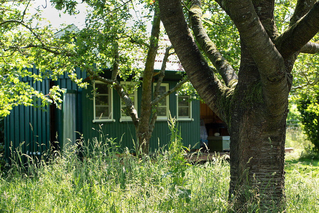 Garden shed - landscaping