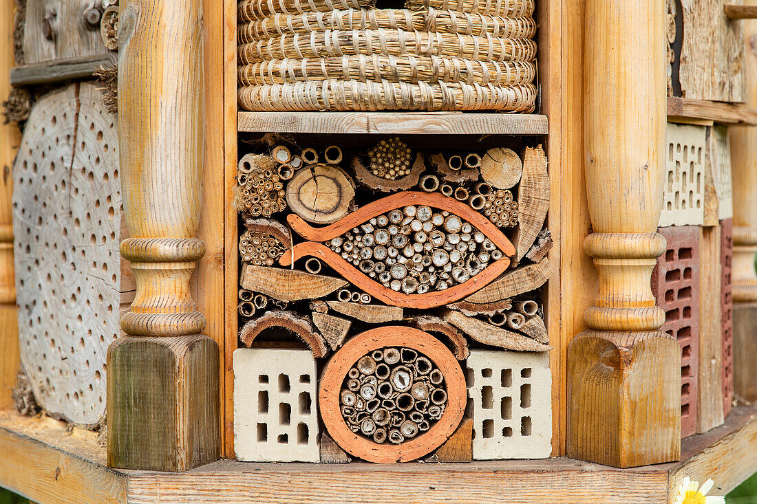 Insect hotel