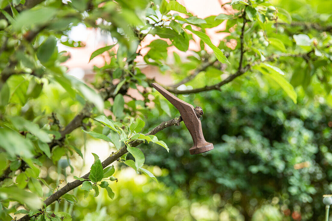 Garden decoration - hammerhead on a branch