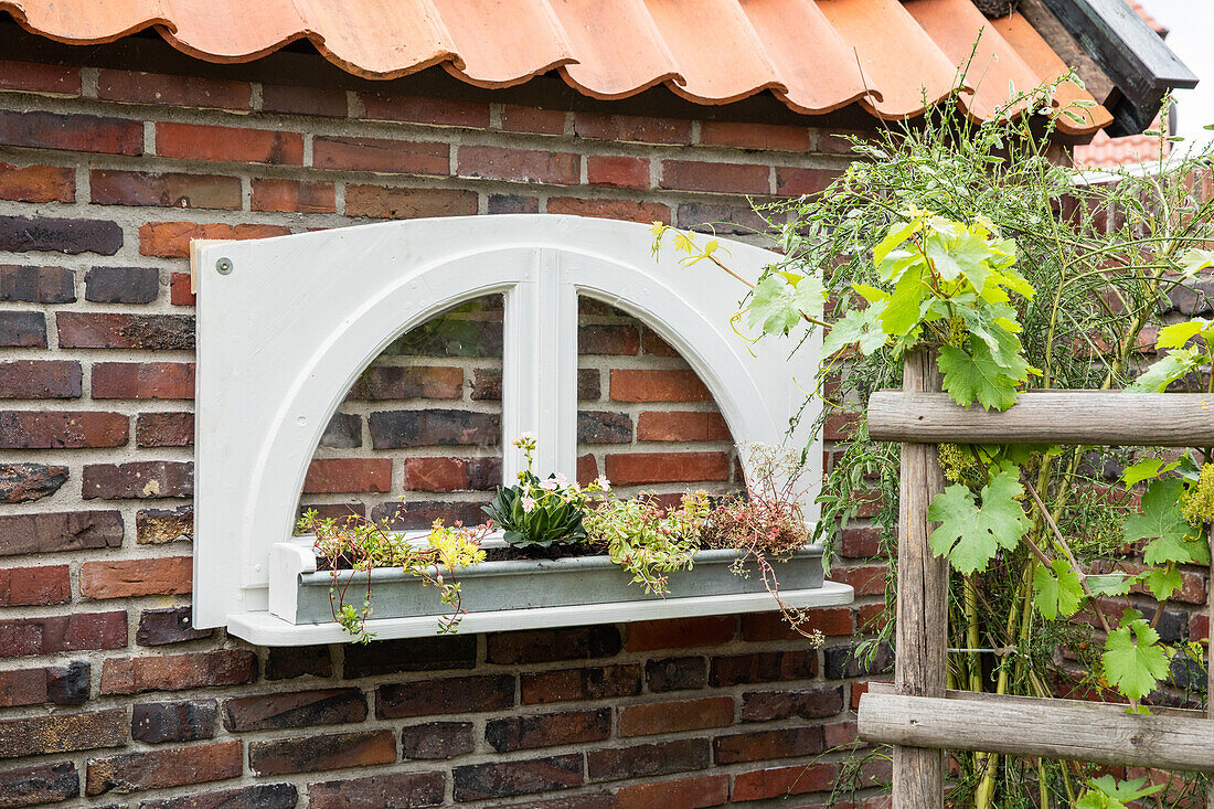 Garden decoration - planted garden window