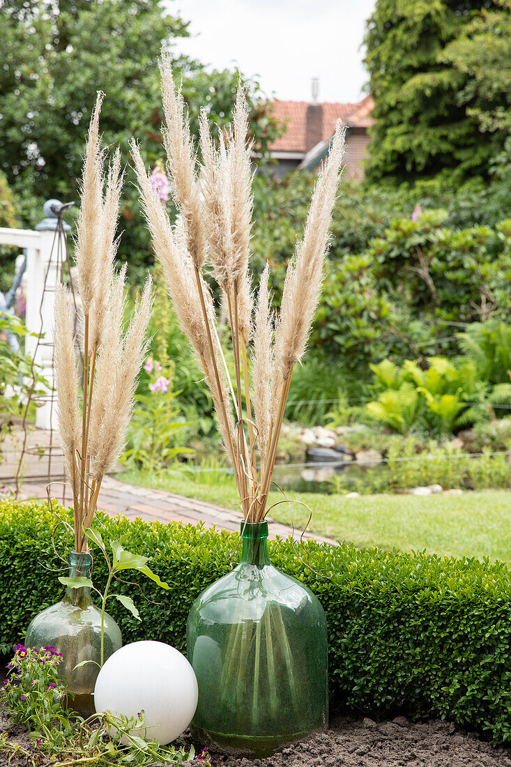 Garden decoration - dried plants