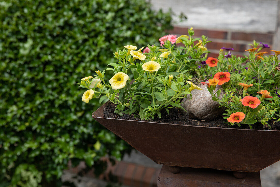 Planter with magic bells