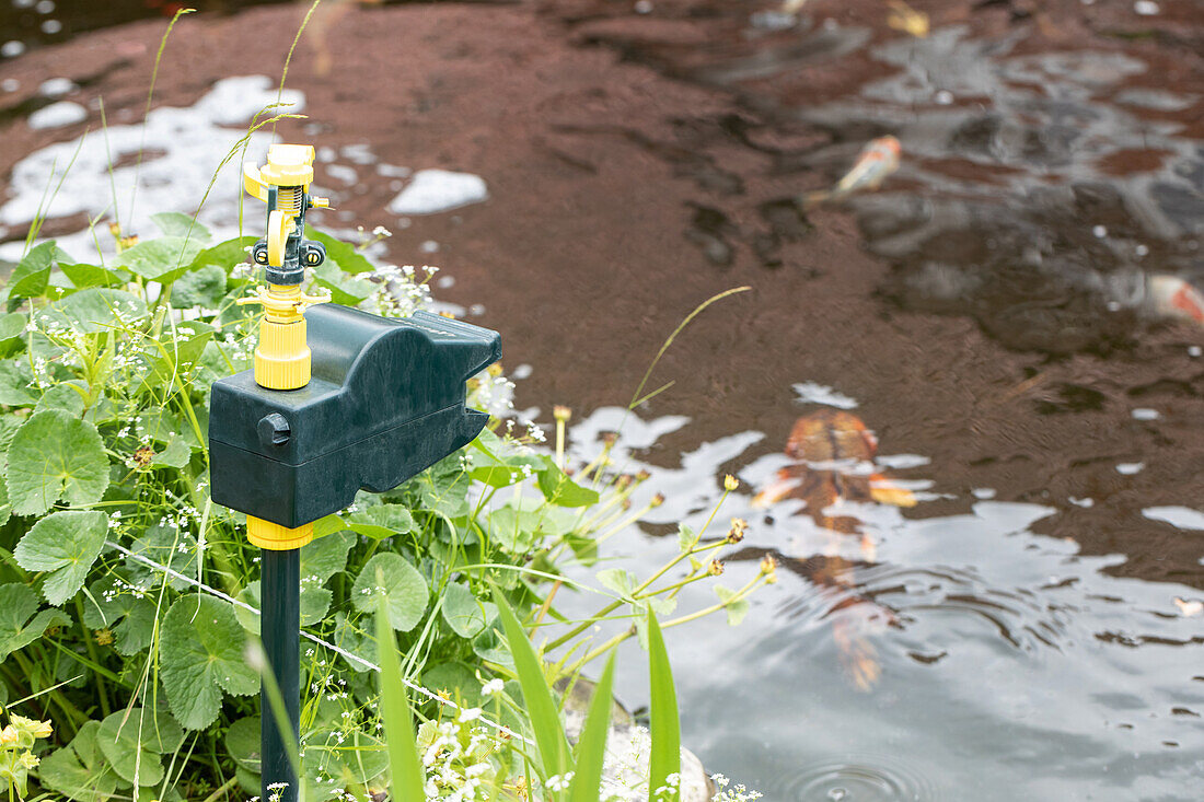 Reiherschreck - Wassersprinkler