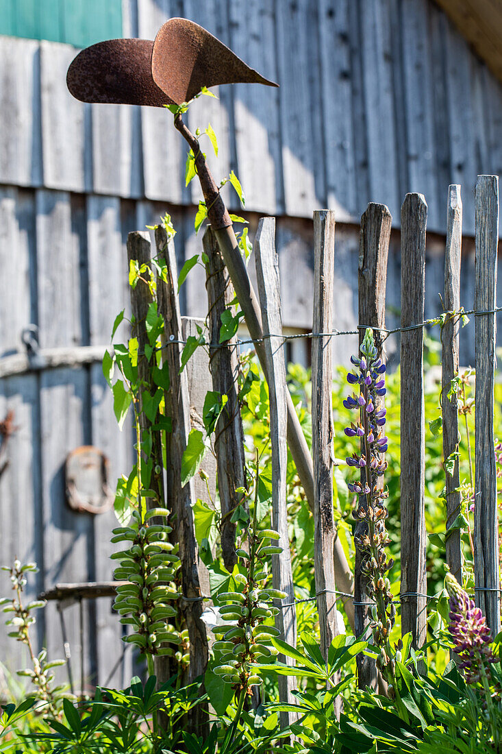 ausgefallene Gartendekoration 