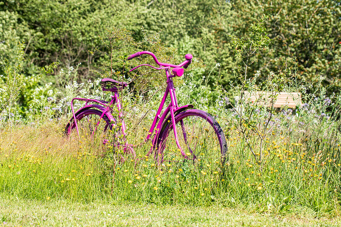 unusual garden decoration - pink bicycle