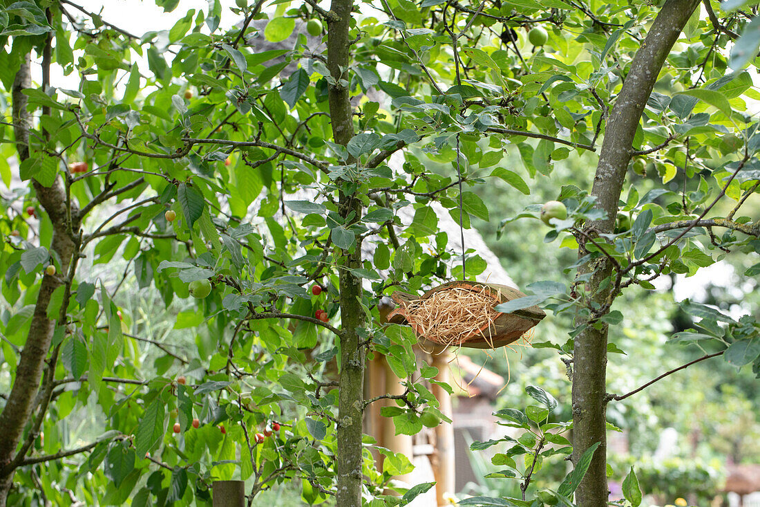 Insektenhaus im Obstbaum