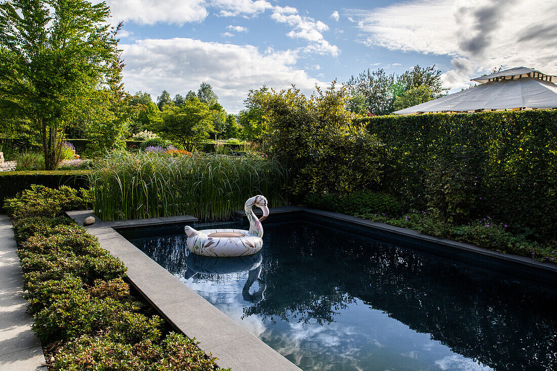 Garden impression - pool area